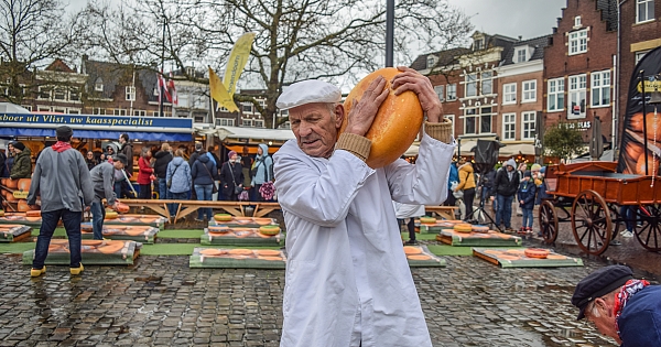 Hollanda'da yılın ilk peynir pazarı düzenlendi
