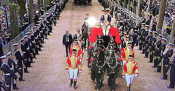 Hollanda'da Prensler Günü ve önemi! atlar, arabalar, elbiseler ve şapkalar