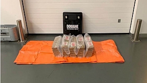 Douane vindt 70 kilo cocaïne tussen bananen en avocado's