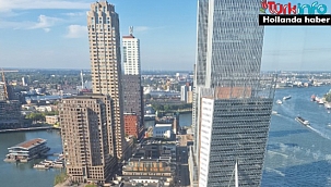 Werkloosheid in februari licht gedaald