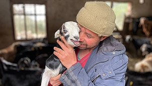 Geit na 7 weken gered uit puin