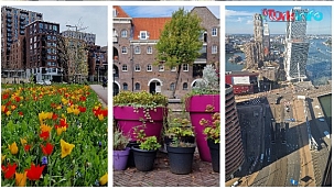 Prijzen koopwoningen bijna 6 procent lager in mei