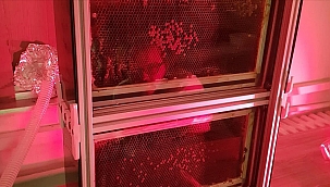 Turks universiteitsproject met 'robotbijen' bekroond met prijs