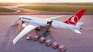 Turkish Cargo Groeit Exponentieel: Eén op de Twintig Luchtvrachtzendingen Wereldwijd