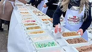 Turkije Breekt Guinness Wereldrecord met 1301 Soorten IJs!