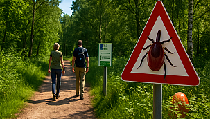 RIVM waarschuwt voor oprukkende teken: verhoogd risico op tekenbeten deze zomer