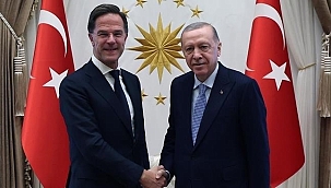 Erdogan spreekt met NAVO-chef over Oekraïne en aankomende top Trump-Poetin