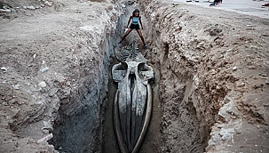 Mysterieuze Walvisschat in Mersin: 14 Meter Lange Reus Opgegraven