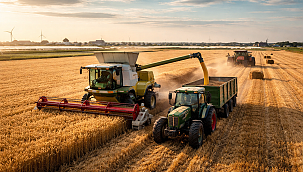 Inkomen landbouwsector daalt licht in 2025