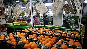 Turkse Landbouwsector Boekt Recordexport in 2025