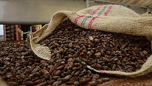 Turkije Verdient 1,7 Miljard Dollar aan Cacao die het Zelf Niet Produceert