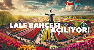 Hollanda’nın Renkli Cenneti Keukenhof 2025 Açılıyor!